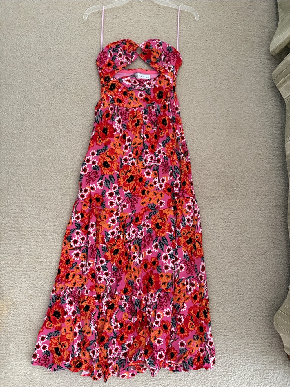Petal & Pup Pink and Red Floral Maxi Dress